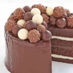 Showby Chocolate Musty Cake